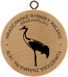 Hradčanské rybníky - Jeřáb Popelavý