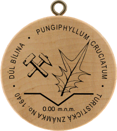 Důl Bílina Pungiphyllum Cruciatum