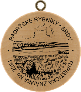 Padrťské rybníky, Brdy